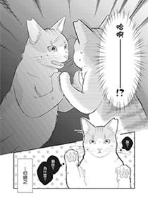 偶像猫猫~变成猫猫被偶像养起来了