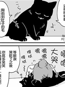 猫先生听我说呀