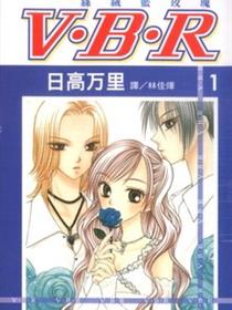 V.B.R丝绒蓝玫瑰