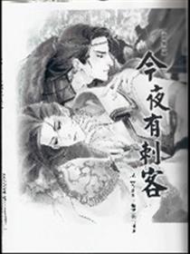 主子番外 今夜有刺客