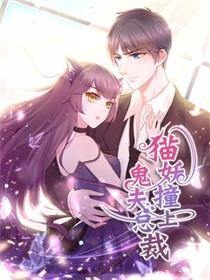 猫妖撞上鬼夫总裁