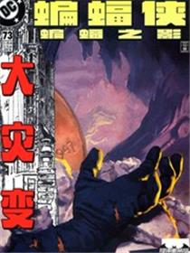 蝙蝠侠：蝙蝠之影