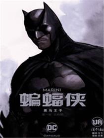 蝙蝠侠：黑马王子