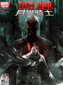 影域:月光骑士