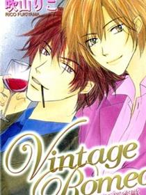 Vintage Romeo醇酒罗密欧