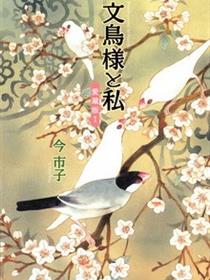 文鸟与我
