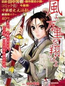 风翔万里