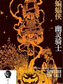 蝙蝠侠：幽灵骑士