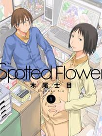 现视研IF：Spotted Flower