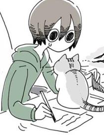 关于养猫我一直是新手