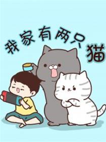 我家有两只猫漫画