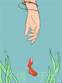 于情于理漫画