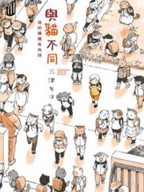 与猫不同