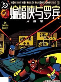 蝙蝠侠与罗宾大冒险