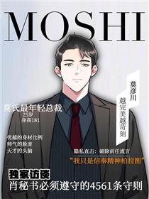 男秘书的使命