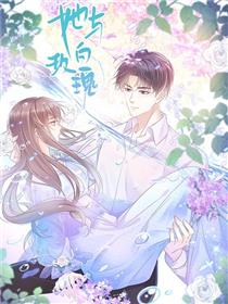 她与白玫瑰