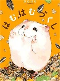 萌鼠仓仓