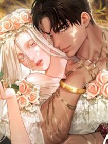夺婚