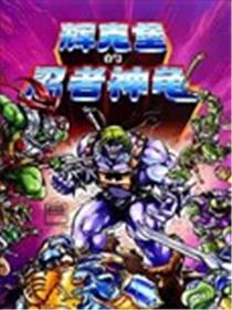 忍者神龟/希曼：辉克堡的忍者神龟
