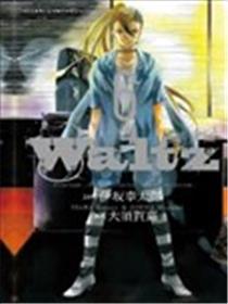 Waltz华尔滋
