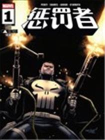惩罚者V15