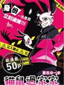 猫鼠过家家