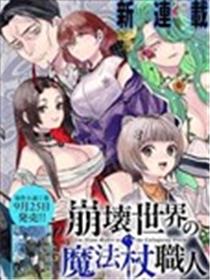 崩坏世界的魔杖匠人